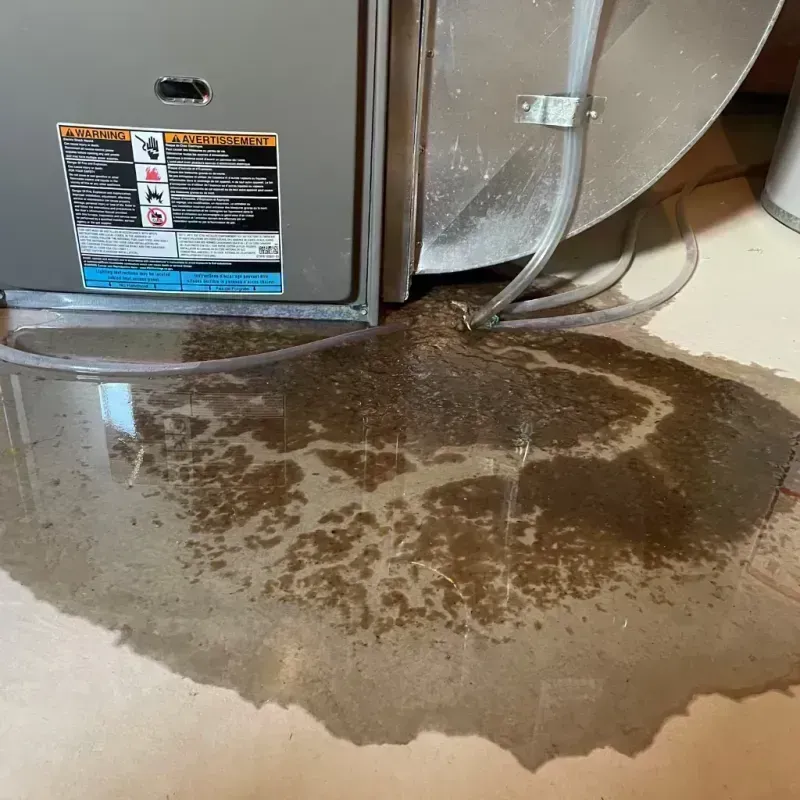 Appliance Leak Cleanup in Devine, TX